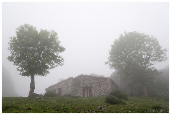 Cabañas en la niebla