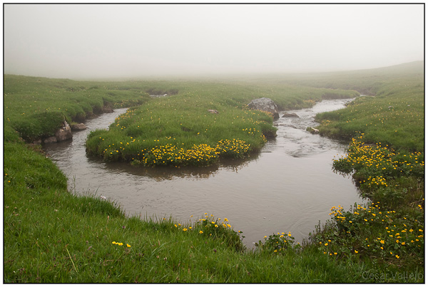 Las vueltas en la niebla