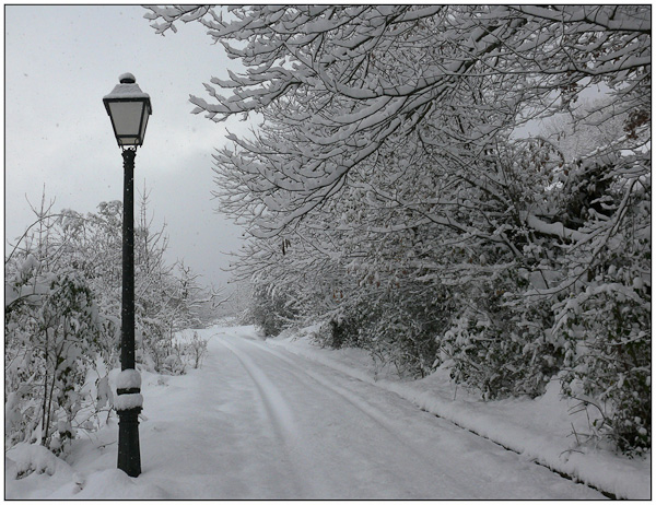 Nevando