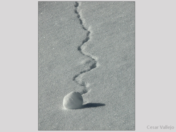 El cuento de la bola de nieve y su viaje