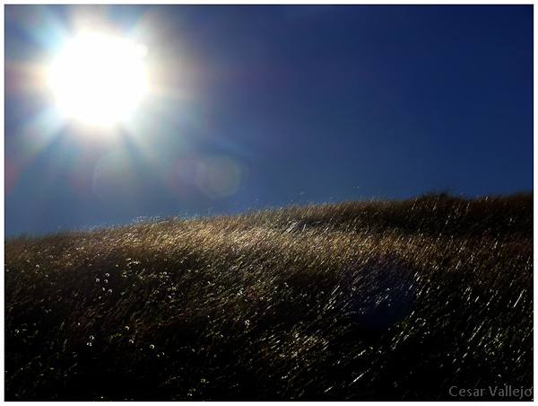 Sol-edad