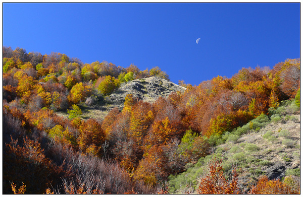 Luna de otoño