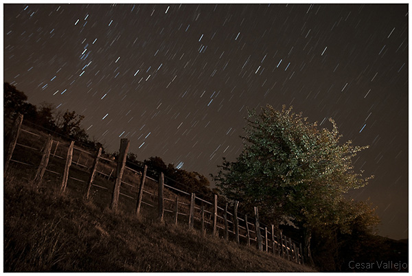Danza de estrellas