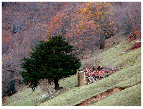 La casa del Druida