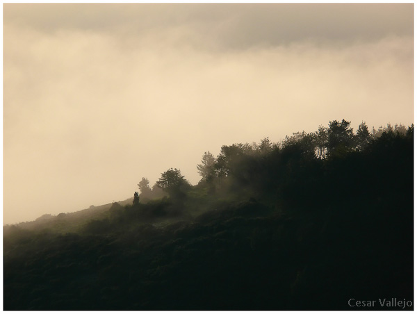 Niebla