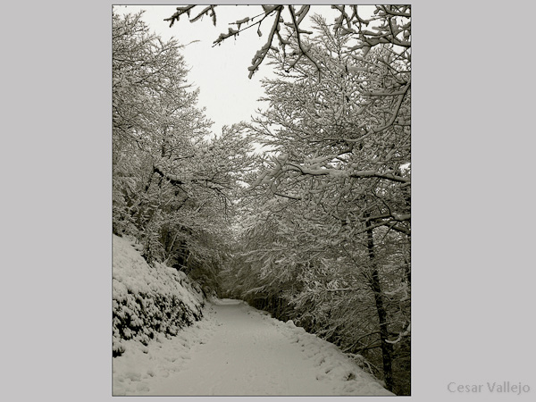 Caminos de invierno