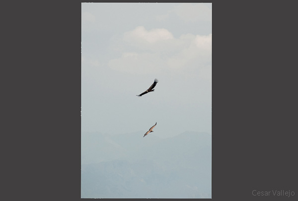 Espectaculo aereo