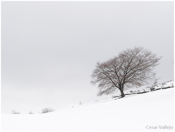 Paisaje en blanco