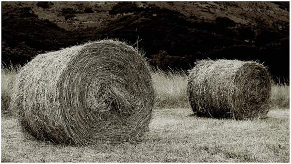 Grass on wheels