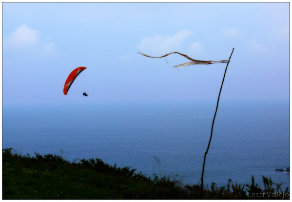 Riding the wind