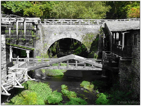 Ecological mill