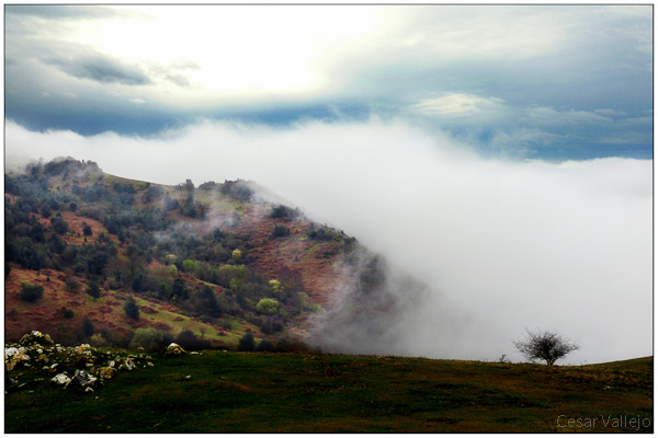 El sol y la niebla