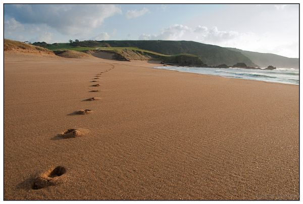 Lost
