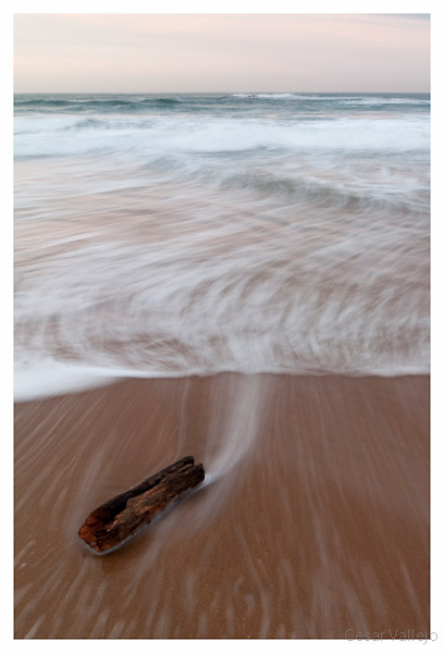 Viajero en la marea