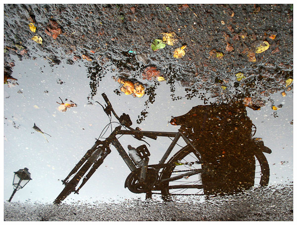 Carril bici