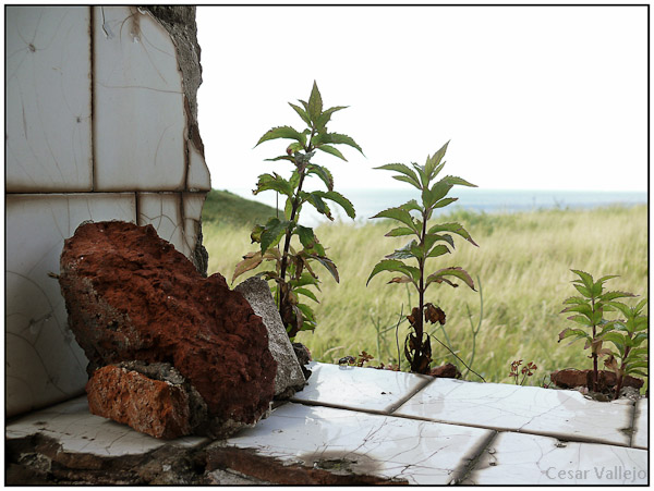 Ruinas