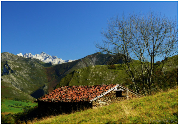 La cabaña
