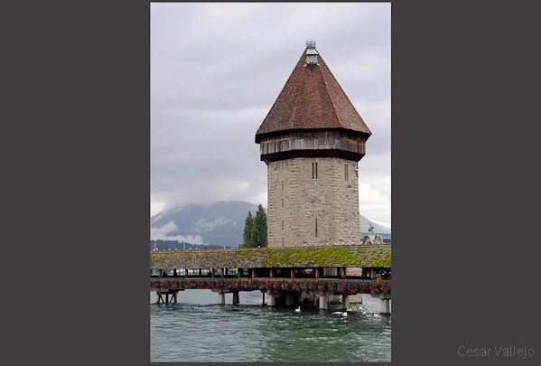 Lucerna