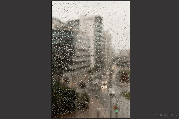 Tardes de lluvia