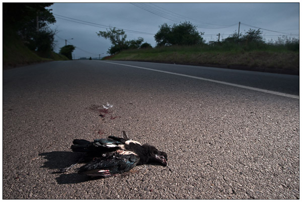 Carreteras secundarias